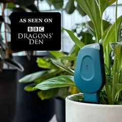 SmartyPlants from its official website