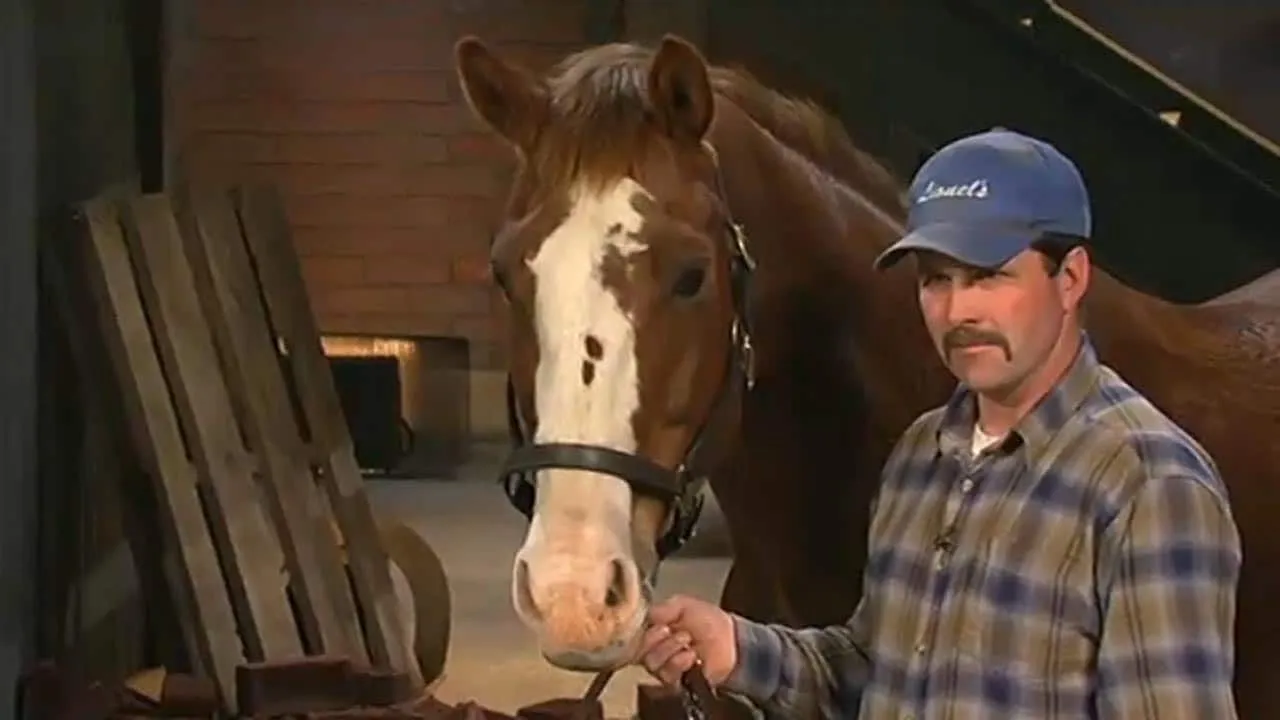 Barnie’s Horse Treats product